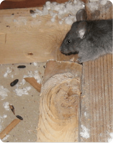 Home service work completed